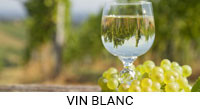 Vin blanc