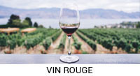 CHAMPAGNE & VINS